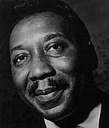 Muddy Waters