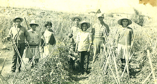 Primera reforma Agraria