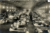 The Spanish Flu began - social