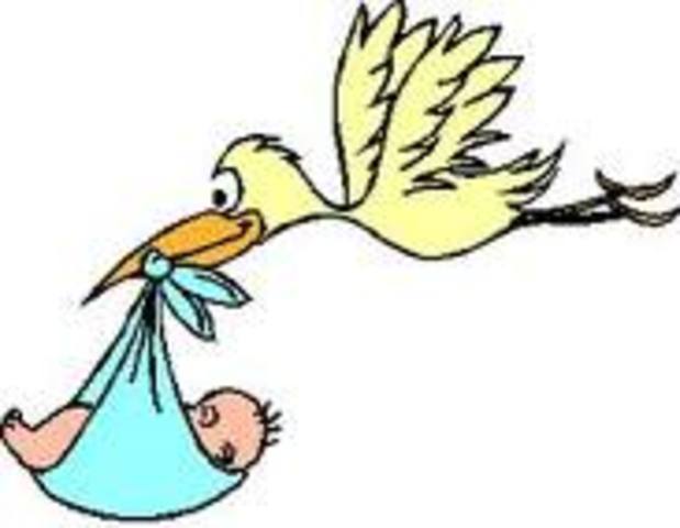 Moriches Leave Replacement