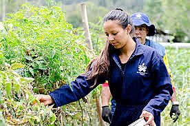 Gestión de recursos naturales