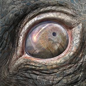 Extinction of dinosaurs