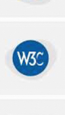 W3C