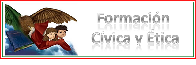 Organización curricular