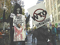 Conferencia Ministerial de Seattle