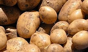 Epifitia devastadora