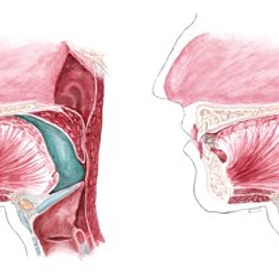 Timeline: Neurofisiología de la Deglución