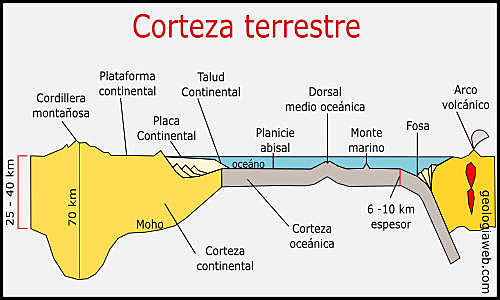 CORTEZA TERRESTRE