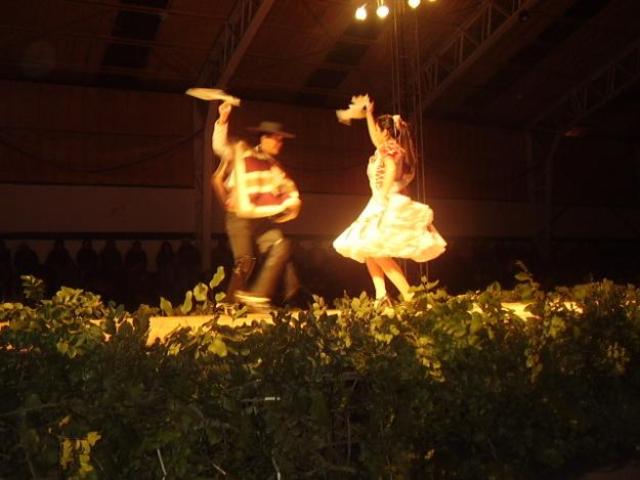 mi primera presentacion artistica