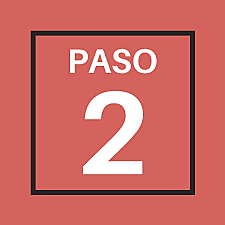 Paso 2 profesional.