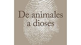 Timeline: De animales a dioses