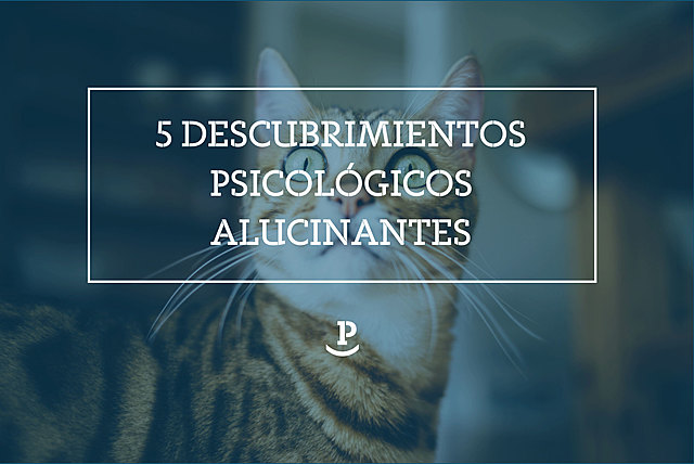 Descubrimiento del sentido