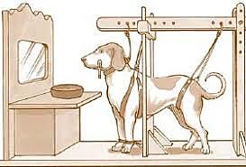 Las neurosis experimentales