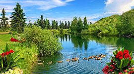 Timeline: Экологический календарь 2020г.