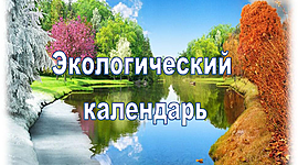 Timeline: Экологический календарь, 2020