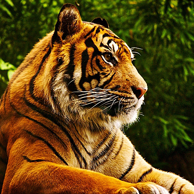 Timeline: Экологический календарь