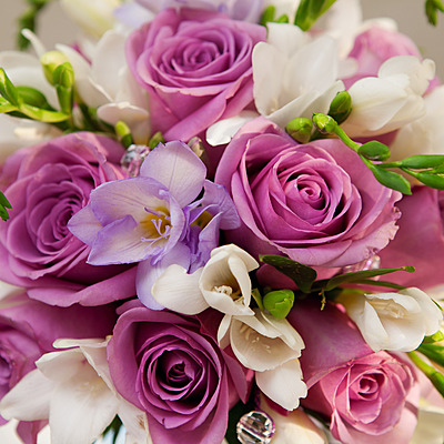 Timeline: Экологический календарь