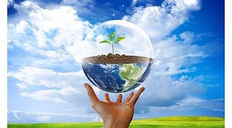 5 июня, Всемирный день окружающей среды