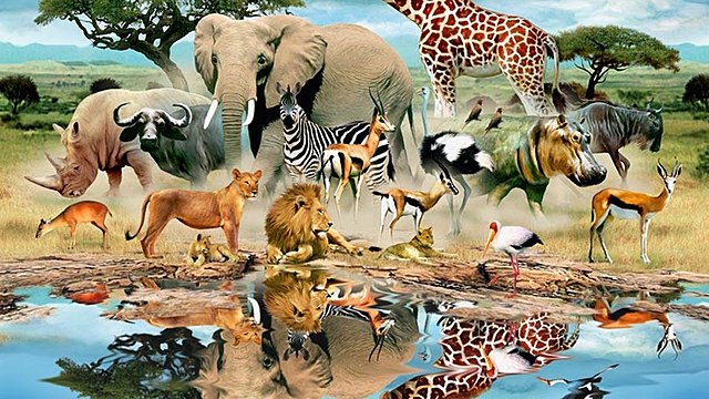 29 декабря, День биологического разнообразия