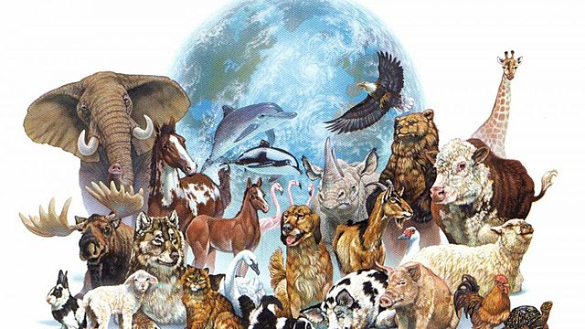 4 октября, День защиты животных