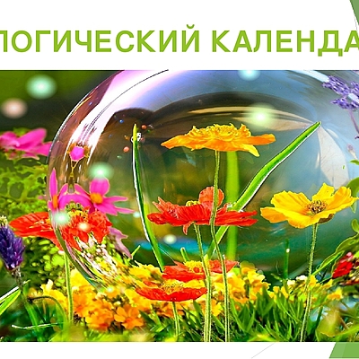 Timeline: Экологический календарь