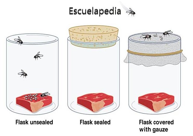 Teoría de la generación Espontanea