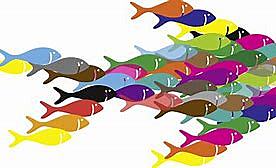 Revolución de la calidad en el Japón