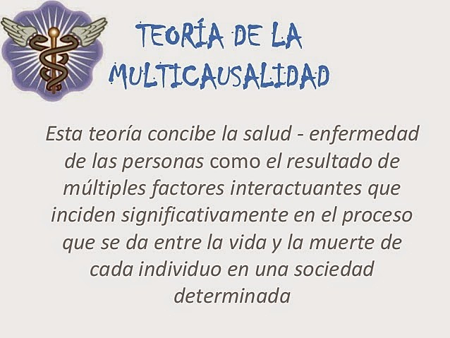 MULTICAUSALIDAD.