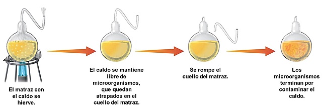 EXPERIMENTO Pasteur.