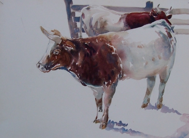 Mrs. Palmer Ships 1000 Cattle Shippment