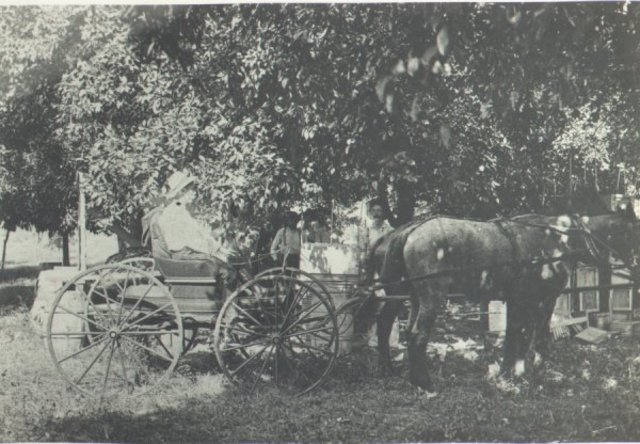 Dream for Myakka - Edwards & Judge Albritton