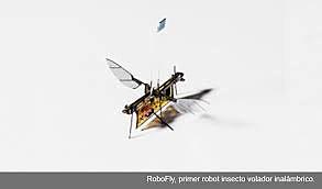 Robofly