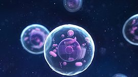 Timeline: Teorías del origen de la vida