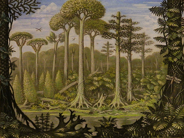 Appereance of the first extensive forest