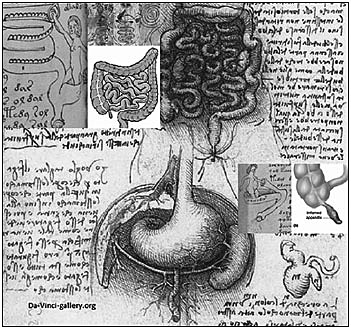 George Thomas Morton de Filadelfia