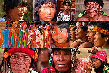 El Decreto 1142 de 1978