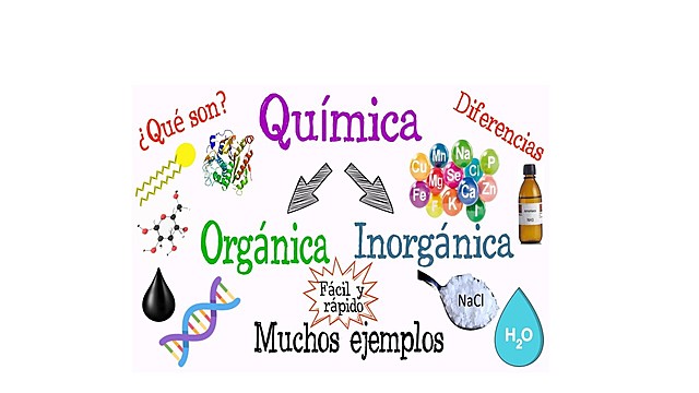 División de la Química