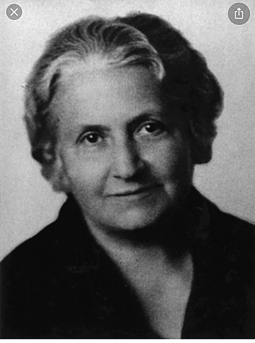 Montessori Passes Away