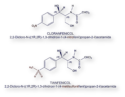 Enrique Tejera Guevara
