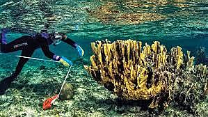 Paris-  Convención sobre la Protección del Patrimonio Cultural Subacuático.