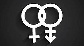 Timeline: El Género y los Enfoques de Desarrollo