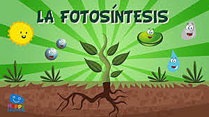 La fotosintesis