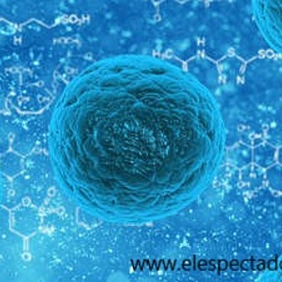 Timeline: Teoría sobre el origen de la vida