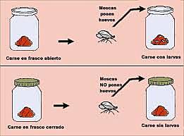 Experimento generación espontánea