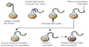 Experimento Pasteur sobre la Generación espontánea