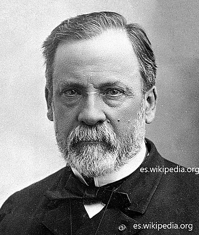 Experimento de Pasteur