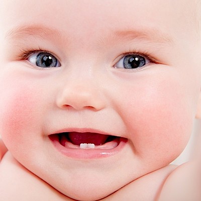 Timeline: Desarrollo de la Dentición