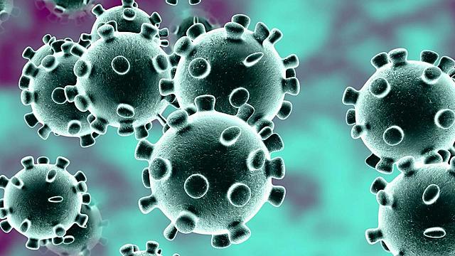 Coronavirus