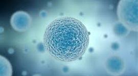 Timeline: Frise Chronologique de la théorie cellulaire