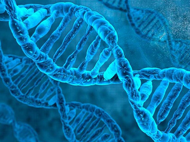 Se utilizo la palabra gen